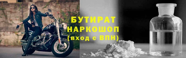 крисы Корсаков